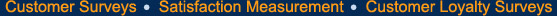 Experts in customer feedback surveys