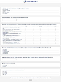 Job Satisfaction Survey Sample